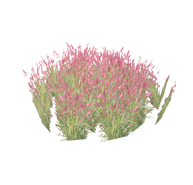 查看3D模型'花草-草丛'详情